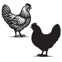 Elegant Hen Silhouette Vector - Minimalistic Poultry Farm Collection, Rural Charm: rooster, Hen and Chicken Outlines - Agriculture Vector Illustrations, Graceful Hen Silhouette, Cock silhouettes