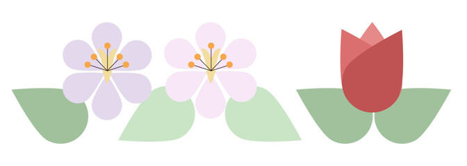 spring flower 2024 - abstract vector  illustration