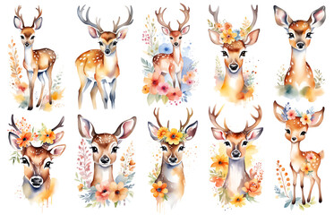 Fototapeta premium Cute baby deer, woodland animal nursery watercolor illustration set. Illustration for children. Nursery posters