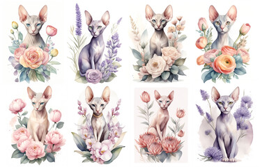 Sphynx cat covered with flowers and leaves. Watercolor style sllustration set isolated on white background