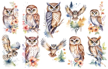 Foto auf Glas Woodland bird owl children nursery watercolor illustration set. Bird watercolor sketch © Lookinout
