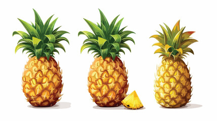 Pineapple Fruit Fresh Harvest Vector Illustration Is