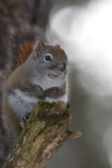 Obraz premium La Plaine 25 Février 2024