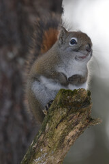 La Plaine 25 Février 2024