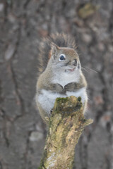 Obraz premium La Plaine 25 Février 2024