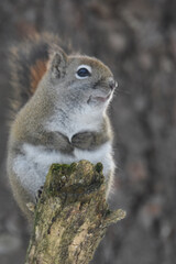 La Plaine 25 Février 2024