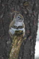 La Plaine 25 Février 2024