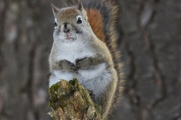 La Plaine 25 Février 2024