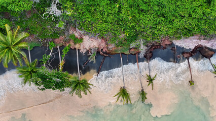 Scenic Palm Trees In Trancoso Bahia Brazil. Beach Landscape. Brazilian Northeast. Bahia Brazil. Seascape Outdoor. Scenic Palm Trees In Trancoso Bahia. Brazil Discovery Coast.
