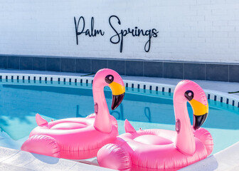 Pink flamingo swimming pool toys in Palm Springs, California © TomWindeknecht
