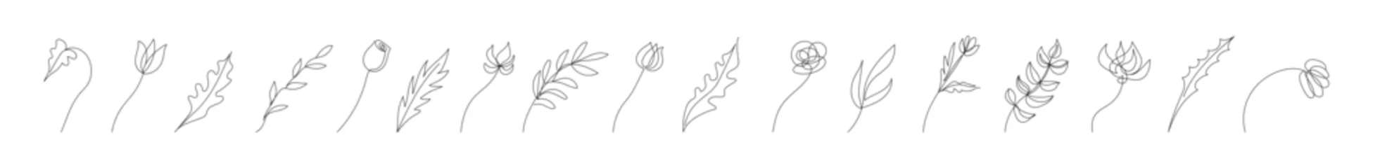 Crédence de cuisine en verre imprimé Une ligne Collection of floral design elements in continuous one line drawing style. Flowers, plants, leaves, branches. Line art. White backdrop. For print, postcard, scrapbooking, coloring book.