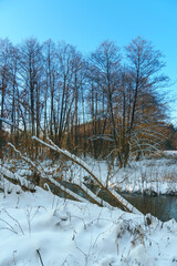 Winter forest landscape. View of the forest covered with snow during sunset. The sun's rays break through the tree trunks and reflect off the white snow.