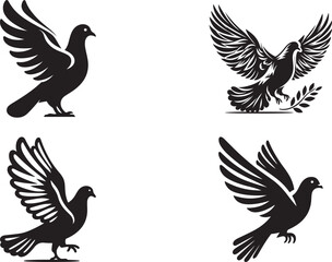 Pigeon  vector illustration silhouette 