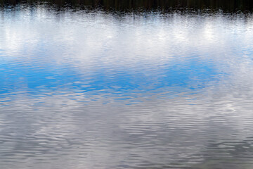 Embark on a tranquil journey to Lake Barrine in the Atherton Tablelands, Queensland, Australia, where serene waters mirror lush rainforest surroundings, inviting serenity and exploration.