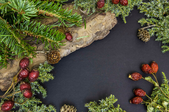 Dary przyrody - owoce dzikiej r&oacute;ży, gałązki, szyszki. Na czarnym tle z miejscem na tekst. 