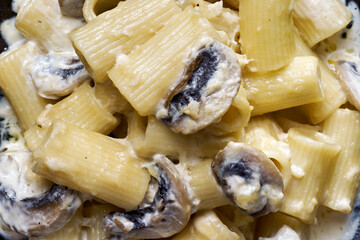 italian rigatoni pasta in mushroom cream sauce