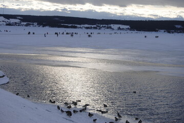 snow on the mountain