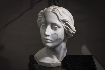 a marble sculpture with beautifully sculpted features reflecting masterful classical art
