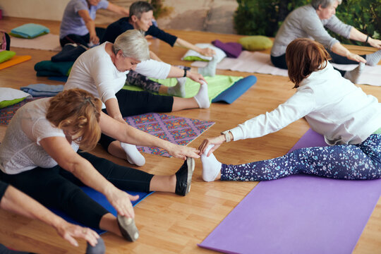 A group of senior women engage in various yoga exercises, including neck, back, and leg stretches, under the guidance of a trainer in a sunlit space, promoting well-being and harmony