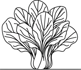 bok choy, pak choi in continuous line drawing minimalist style,