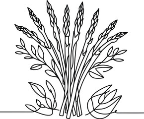 asparagus in continuous line drawing minimalist style,
