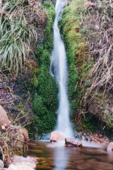 苔を流れる滝