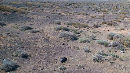 Desert ground as nature background, Lanzarote island.