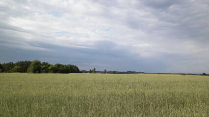 A field in Kashubia.