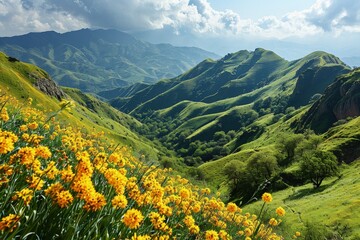 Obraz premium A vibrant hillside blanketed in a sea of yellow flowers, contrasting against the lush green grass, creating a breathtaking scene of natures beauty