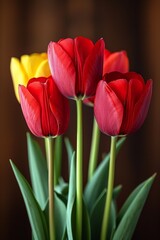 Three vibrant red and yellow tulips gracefully stand tall in a glass vase, their petals catching the light and seemingly dancing in the sunlight