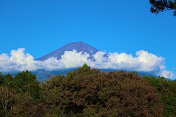 富士山と雲