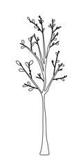 Young tree with leaves or tree seedling, doodle style flat vector outline for coloring book