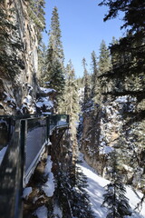 winter in the mountains