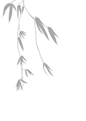 Grey Bamboo Soaring shadow, Illustration of olive Silhouetted Against Nature's Canvas. Hand drawn. Isolated background.