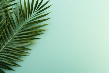 Monochromatic Minimalistic background palm leaf. Fashion summer texture sun leaf. Generate Ai