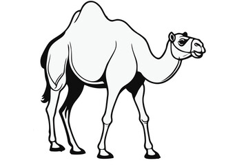 camel, isolated vector silhouette, on white background