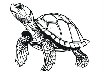 Fototapeta premium Sea Turtle Cartoon Animal Illustration