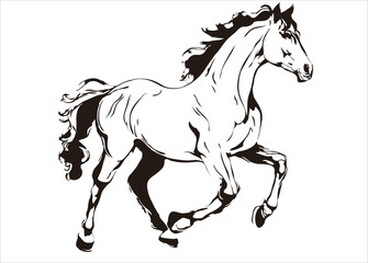 Obraz na płótnie Canvas cute, horse isolated vector silhouette on white background