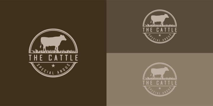 Retro Vintage Farm Cattle Angus Livestock Beef Emblem Label logo design vector in soft gold color presented with multiple backgrounds. The logo is suitable for farm and ranch logo design inspiration