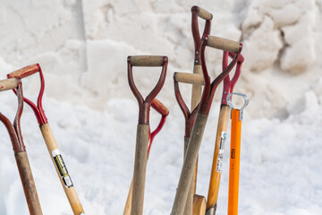 雪に突き刺さった複数のスコップ