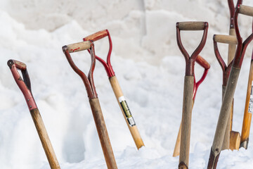 雪に突き刺さった複数のスコップ