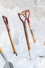 雪に突き刺さった複数のスコップ