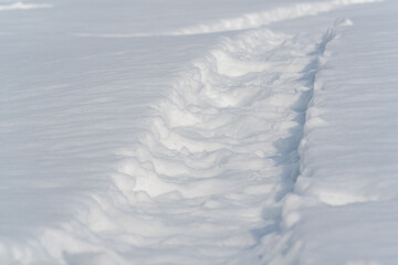雪上についた、何かが通った跡