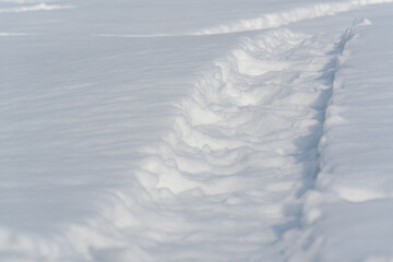雪上についた、何かが通った跡