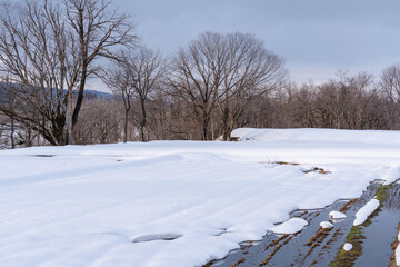 雪が解け始めた畑の風景
