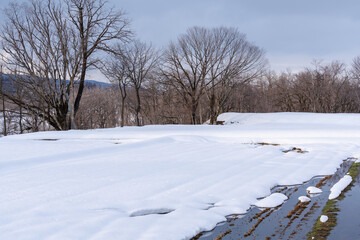 Fototapeta na wymiar 雪が解け始めた畑の風景