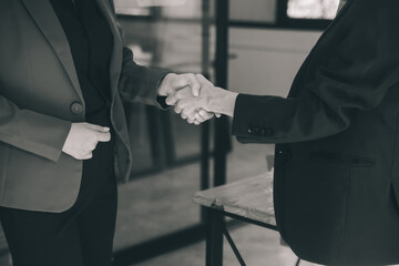 Businesswoman handshake and business people. Successful business handshake concept.
