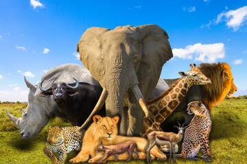 Big Five and wild african animals collage on savannah landscape. Serengeti wildlife area in Tanzania, Africa. African safari scene. Wallpaper background. Blue sky.