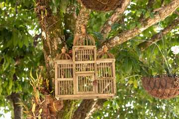 wooden bird house in a tree