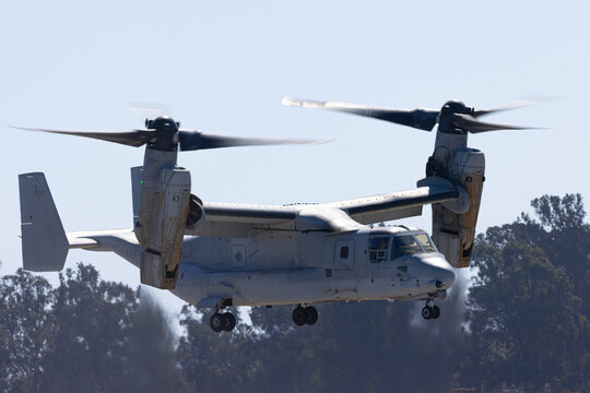 Mv-22 Osprey hovering 